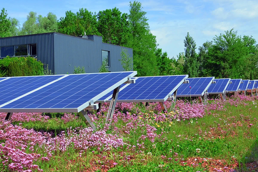 Acoperisul verde Biosolar de la Ecostratos