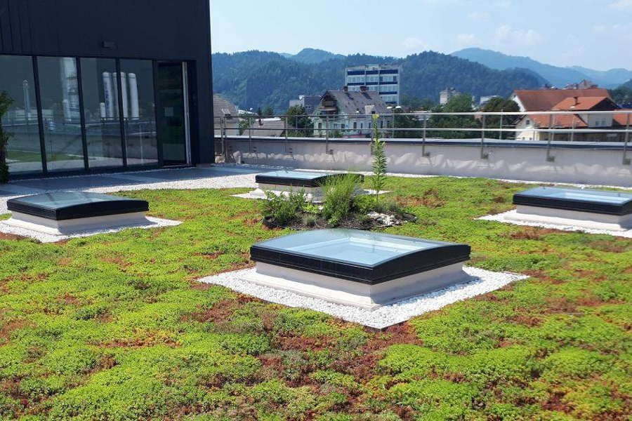 Urbanscape de la Knauf Insulation: Acoperisul verde, alegerea sanatoasa pentru o casa moderna