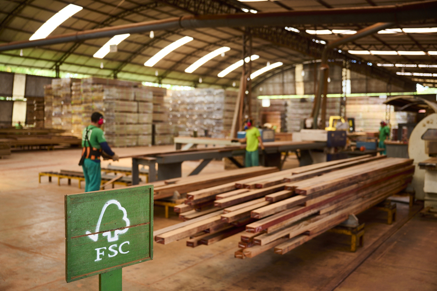 Jatoba, lemnul tropical certificat FSC, utilizat la fabricarea produselor mmcité