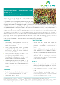 Rulou de vegetatie Ecostratos E-Sedum Drought Resist - fisa tehnica