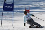 Conferinta IDF si a doua competitie mondiala de schi organizata de FAKRO in Polonia
